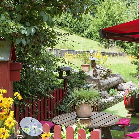 Gite Chez Mimie Breitenbach-Haut-Rhin Exterior foto