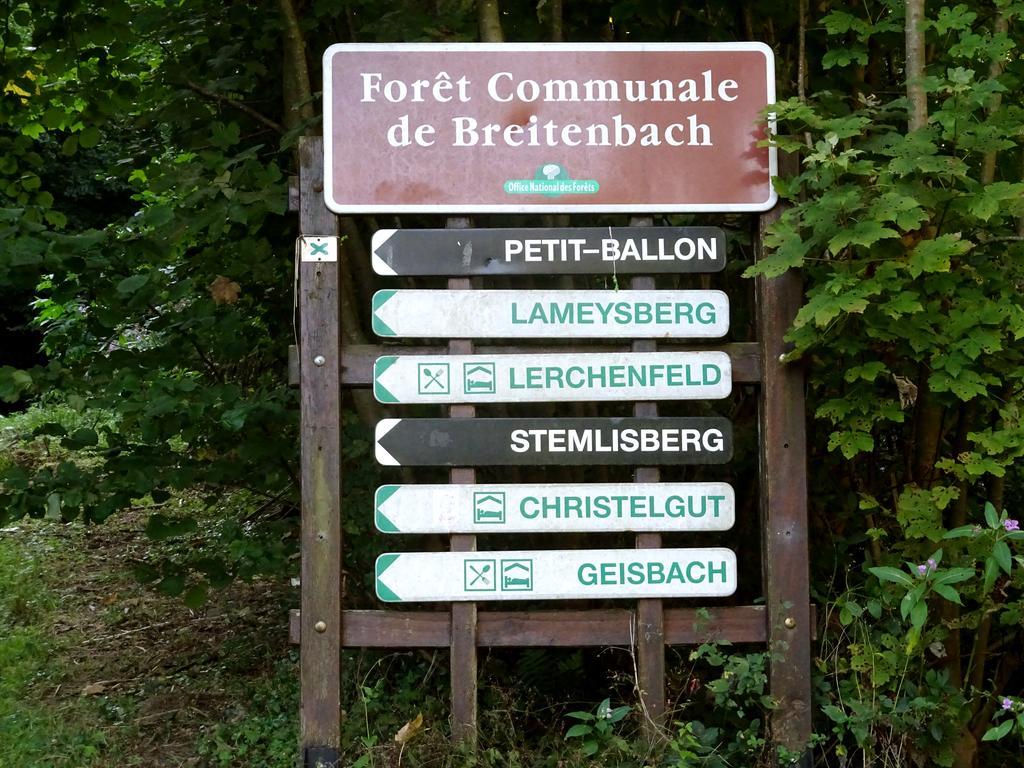 Gite Chez Mimie Breitenbach-Haut-Rhin Exterior foto