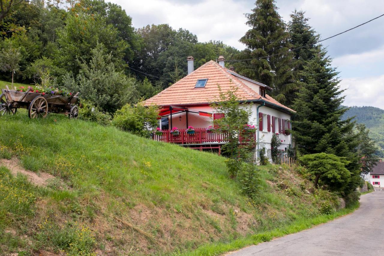 Gite Chez Mimie Breitenbach-Haut-Rhin Exterior foto