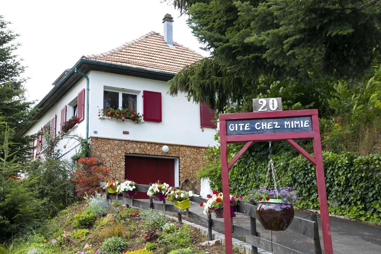 Gite Chez Mimie Breitenbach-Haut-Rhin Exterior foto