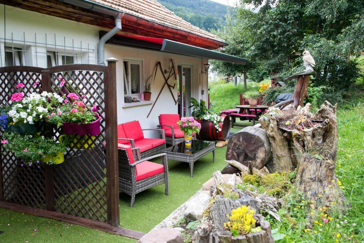 Gite Chez Mimie Breitenbach-Haut-Rhin Exterior foto